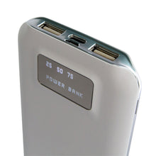 Load image into Gallery viewer, P100PL22