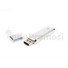 Load image into Gallery viewer, USB Flashdisk - FDPL 01